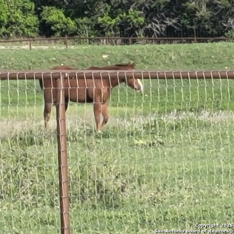 545 Highgate Dr. Property Photo 36
