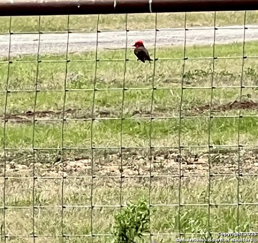 545 Highgate Dr. Property Photo 48