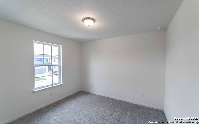 8843 Grey Elm Property Photo 15