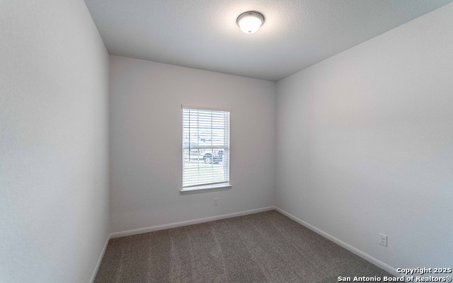 8811 Grey Elm Property Photo 11