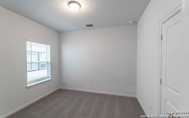 8811 Grey Elm Property Photo 12