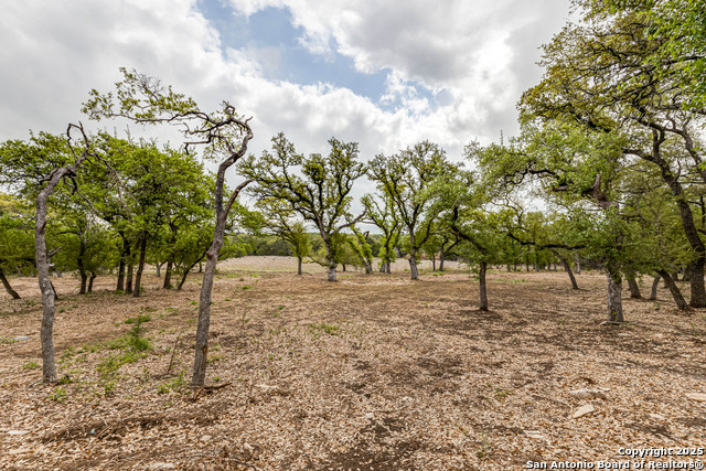1281 Adyson Ridge Property Photo 41