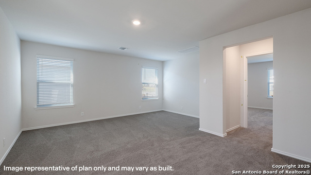 1128 Andean Emerald Property Photo 15