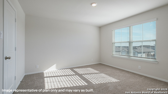 1128 Andean Emerald Property Photo 18