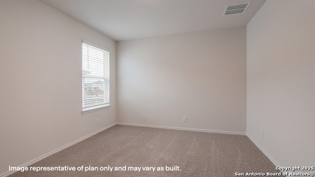 1116 Andean Emerald Property Photo 19