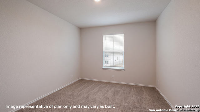1116 Andean Emerald Property Photo 22