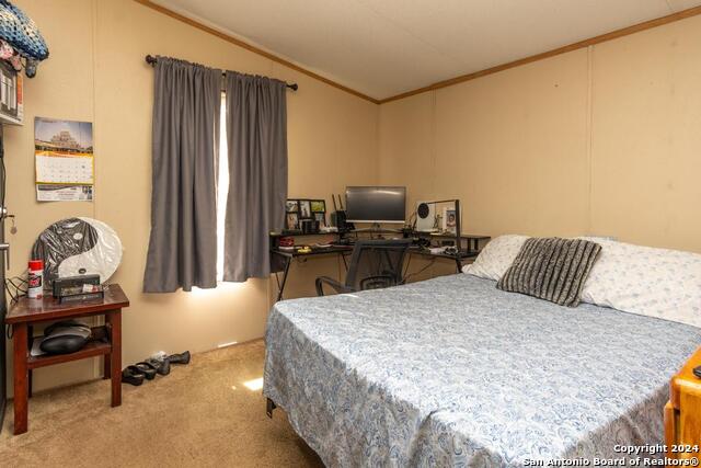 22300 State Highway 123 Property Photo 18