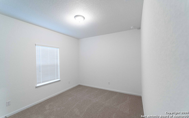 8920 Grey Elm Property Photo 11