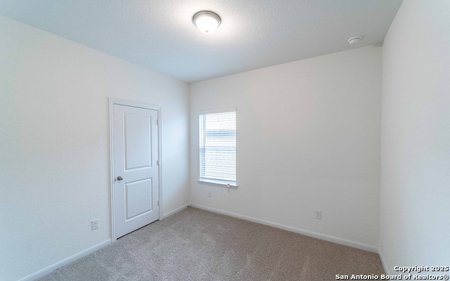 8920 Grey Elm Property Photo 13