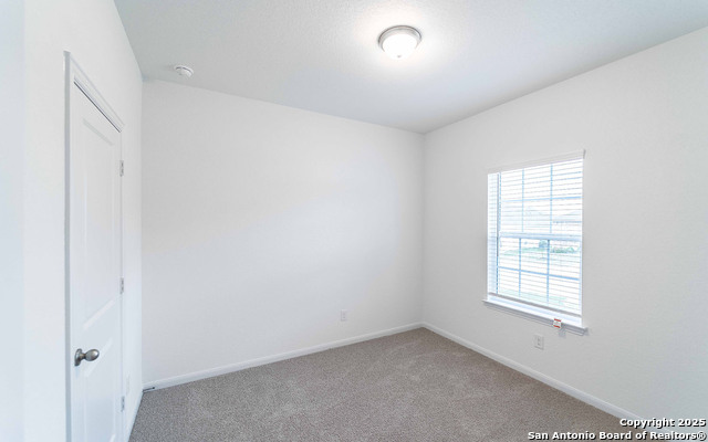 8920 Grey Elm Property Photo 14