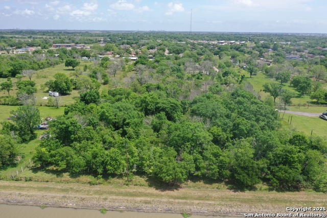 Tbd Daffodil Property Photo 8