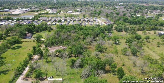 Tbd Daffodil Property Photo 12