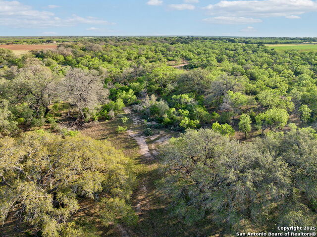 1695 Arnold Rd Property Photo