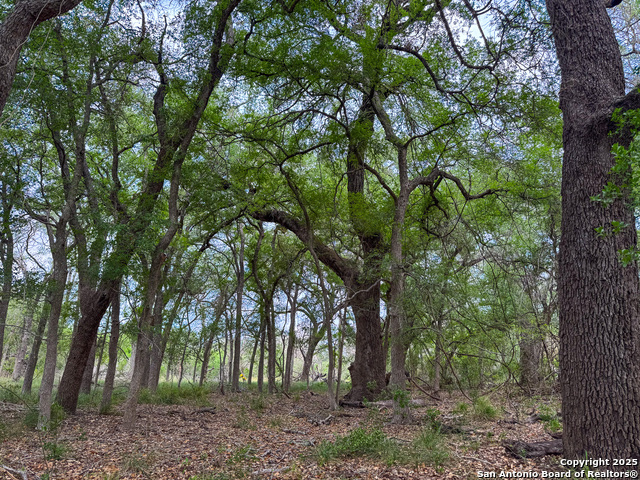 Frio Real Estate Listings Main Image