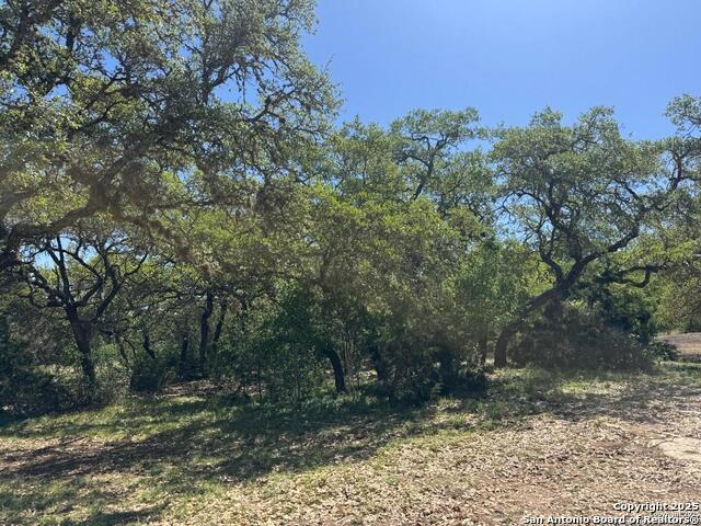 2485 Bump Gate Property Photo 27