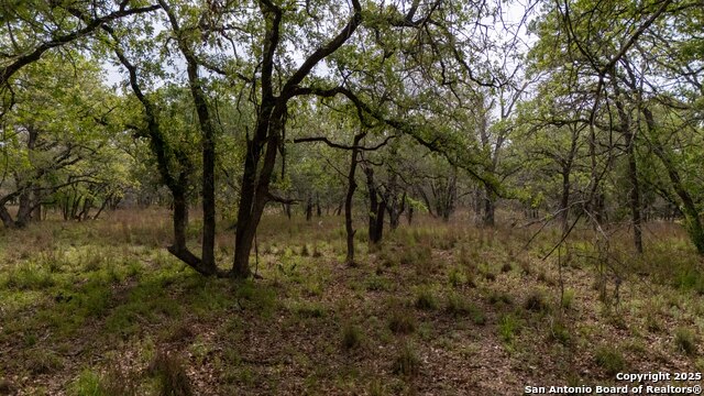 Tbd Post Oak Property Photo