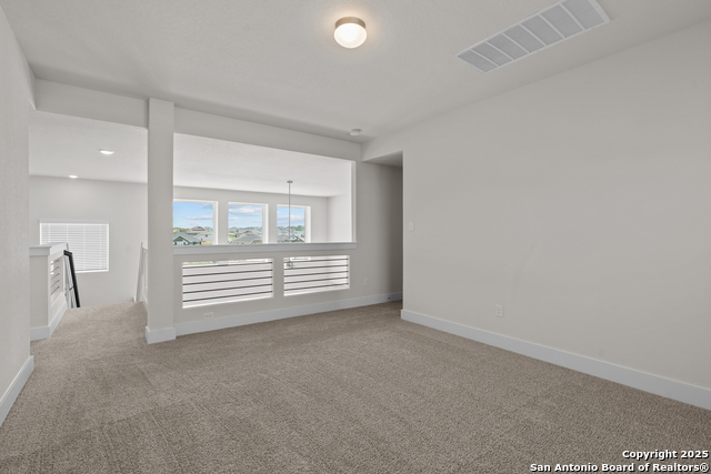 163 Abigail Alley Property Photo 27