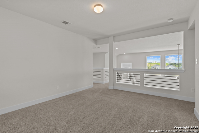 163 Abigail Alley Property Photo 28