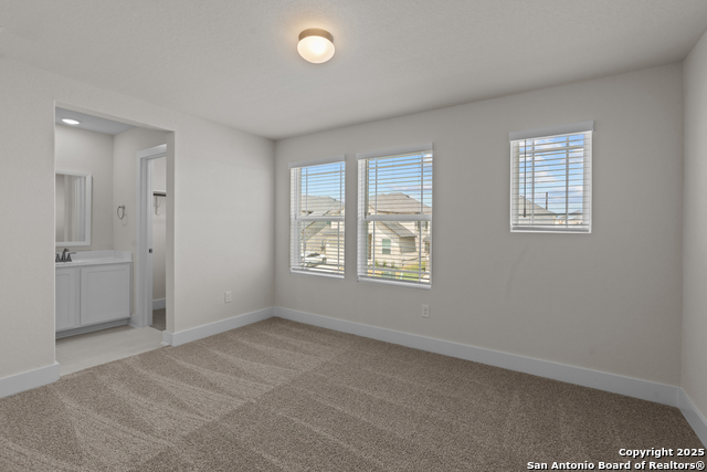 163 Abigail Alley Property Photo 30