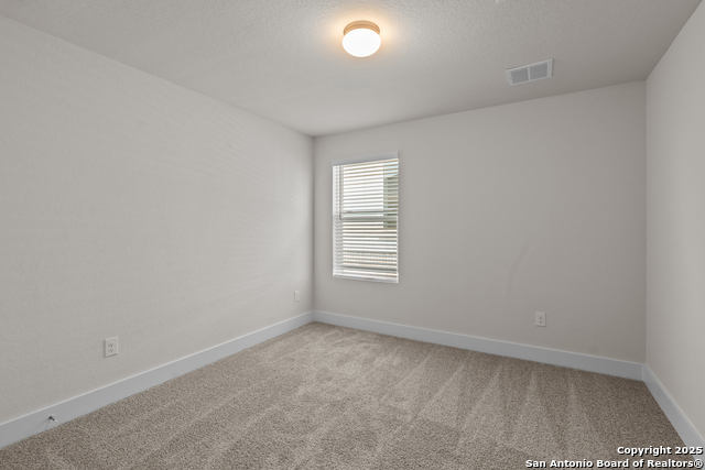 163 Abigail Alley Property Photo 33