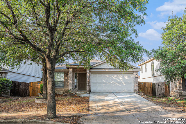 11022 Arabian Palm Property Photo 1