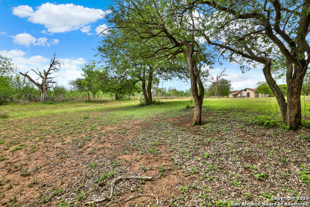 1959 Gruene Property Photo 31