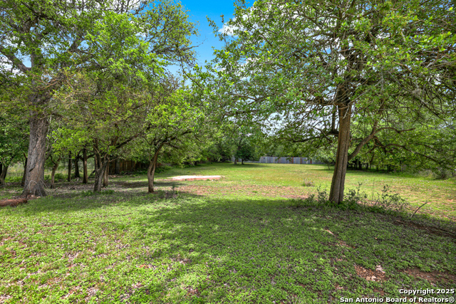 1959 Gruene Property Photo 33