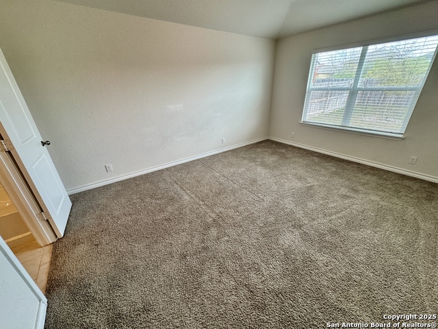 287 Cuban Emerald Property Photo 15