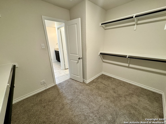 287 Cuban Emerald Property Photo 20