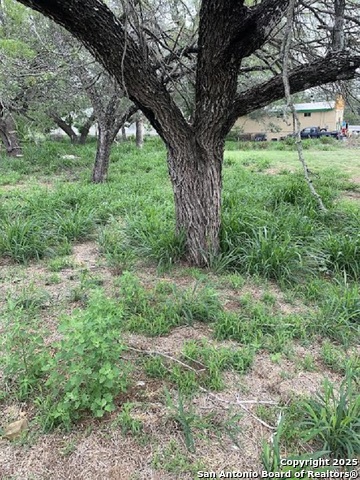 413 Ross Property Photo 3