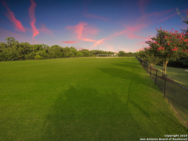 12739 Gruene Pass Property Photo 7