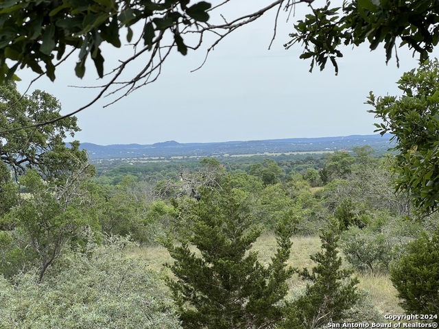 Tract 98 Winans Creek Ranch Property Photo