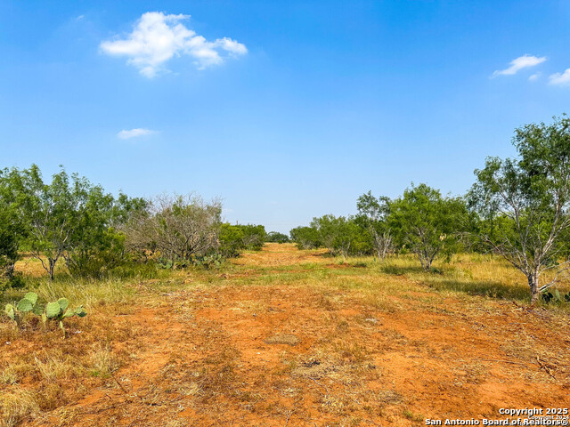 Atascosa Real Estate Listings Main Image