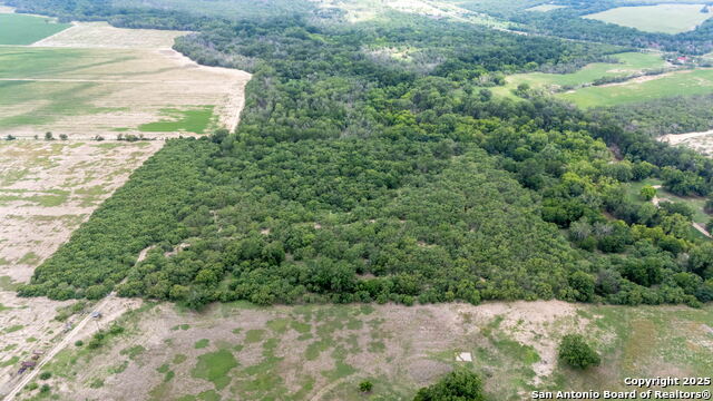 15828 Fm 775 Property Photo 1