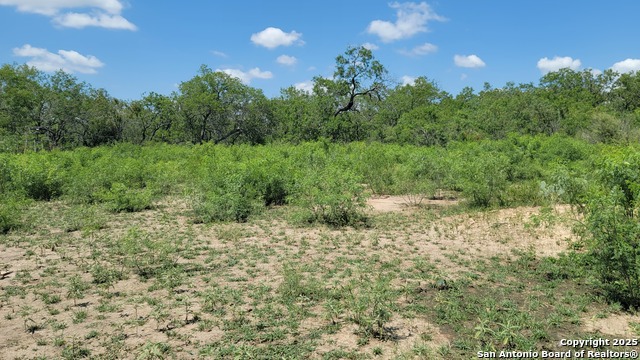 2142 Blue Creek Property Photo 1
