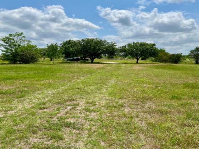 204 Wildflower Trl Property Photo
