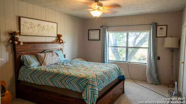 4843 Farm To Market Rd 1436 Property Photo 11