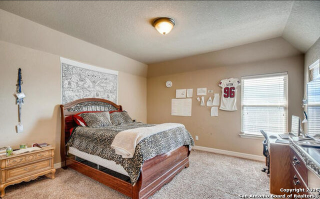 10310 Ivy Horn Property Photo 16