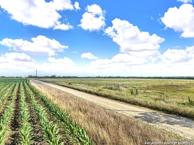 Fm 1347 Cr 463 Property Photo 5