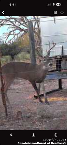 Concho Real Estate Listings Main Image