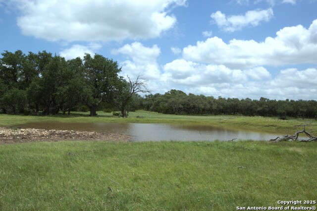 510 Dead End Rd. Property Photo 4