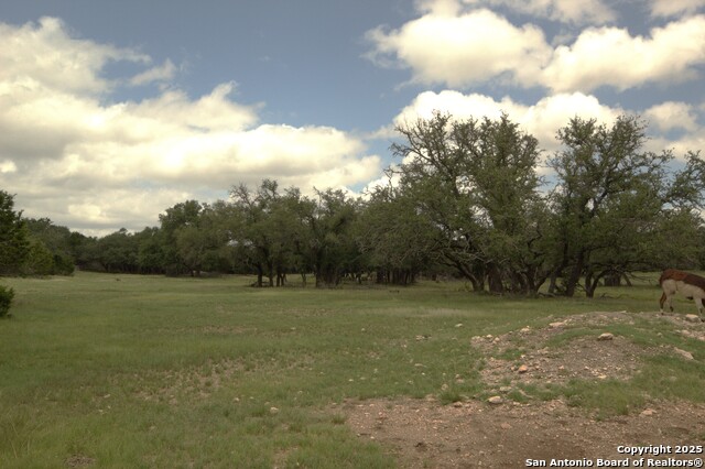 510 Dead End Rd. Property Photo 5