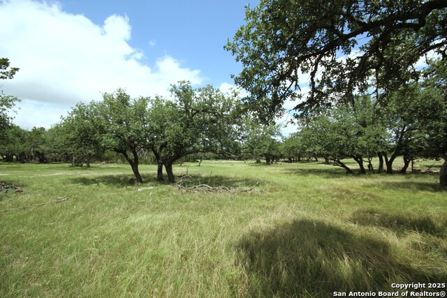 510 Dead End Rd. Property Photo 6