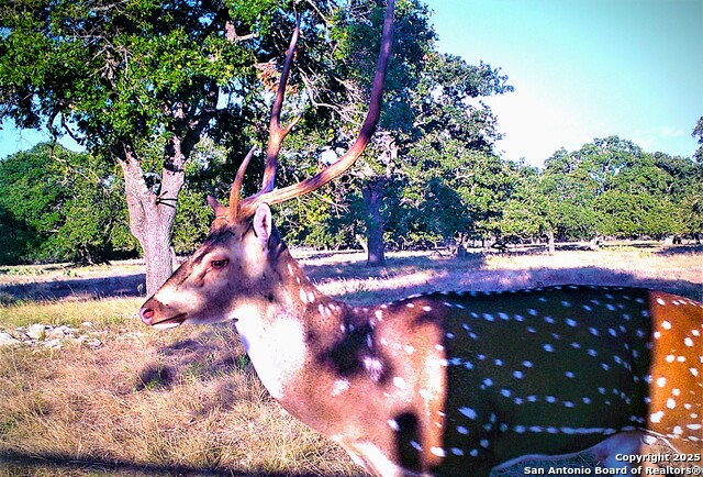 510 Dead End Rd. Property Photo 12