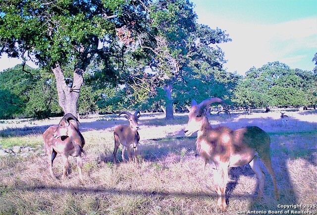 510 Dead End Rd. Property Photo 26