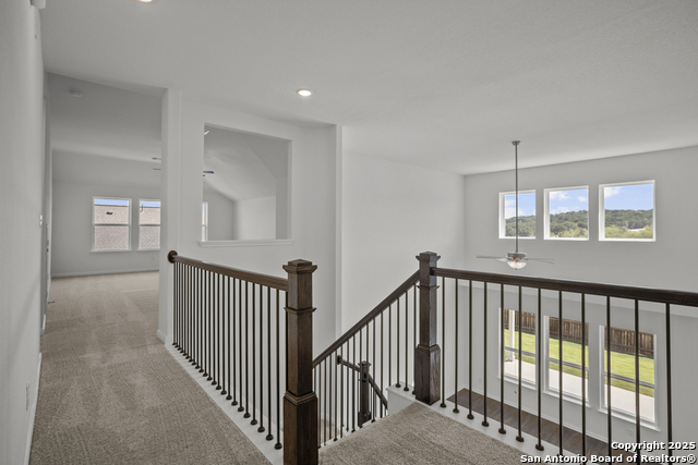 2804 Reeves Ln Property Photo 29