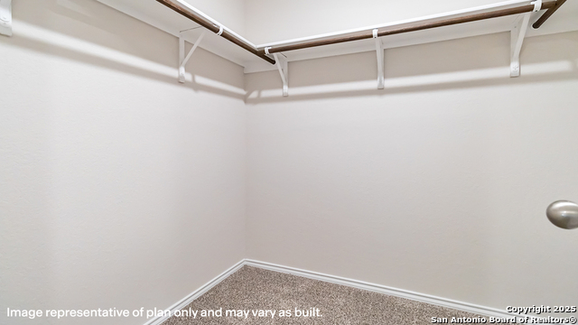 7339 Perseus Brook Property Photo 21