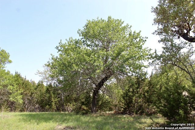 Lot 55-56 Pr 1523 Property Photo 1