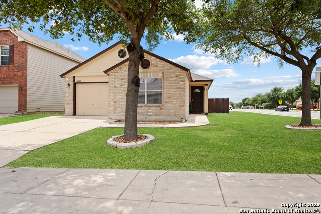 10022 Carswell Peak Property Photo 4