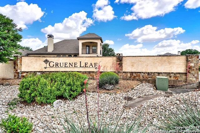 1320 Gruene Leaf Property Photo 4